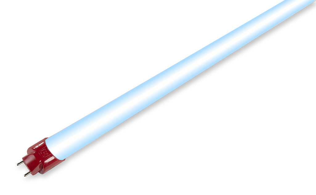 Energy focus lighting deals
